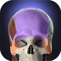 Anatomyka - 3D Anatomy Atlas [Unlocked]