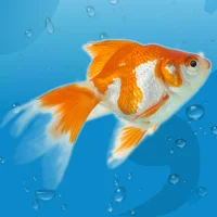 AquaLife 3D [Mod Money]