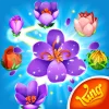 Blossom Blast Saga Flower Link