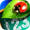 Bugs and Numbers