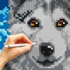 CrossStitch Masters