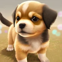Dog Town Pet Shop Game Care & Play with Dog