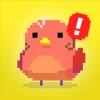 Find Bird