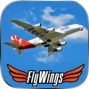 Flight Simulator Paris 2015 HD