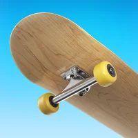 Flip Skater [Mod: Money]