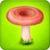 Forest Clans - Mushroom Farm