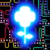 Forget-Me-Not