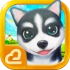 Hi Puppies2