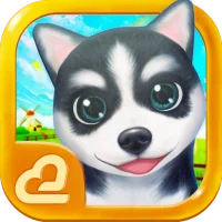 Hi Puppies2