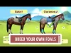 Howrse free horse breeding farm game