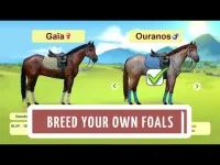 Howrse free horse breeding farm game