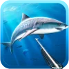 Hunter underwater spearfishing