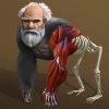 Idle Evolution - Cell to Human [Free Shopping]