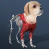 Idle Pet - Create cell by cell [unlocked/много кристаллов]