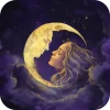 Midnight Dreamers | Novels [Free shoping]