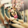 Photo Editor Picsa: Collage [unlocked/Adfree]