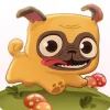 Pug Run