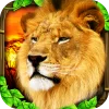 Safari Simulator: Lion
