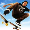 Skateboard Party 3 [unlocked]