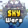 Sky Wars