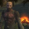 Survival.IO - PVP Online [Adfree]