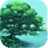 The Tree