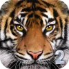 Ultimate Tiger Simulator 2 [Mod Menu]