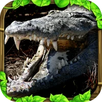 Wildlife Simulator: Crocodile