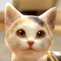 with My CAT [Adfree]