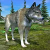 Wolf Simulator - Animal Games [Mod Money]