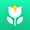 Plant Parent: Plant Care Guide