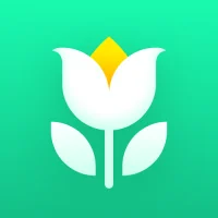 Plant Parent: Plant Care Guide