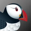 Браузер Puffin Incognito