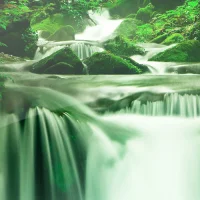 Wallpapers Nature