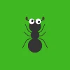 Great Ant Adventure